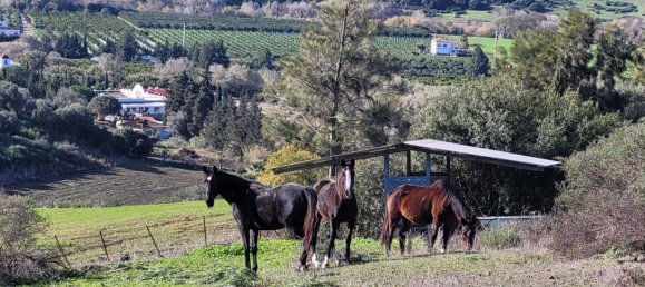 6 bedrooms House in San Martin del Tesorillo, Spain No. 143818 24