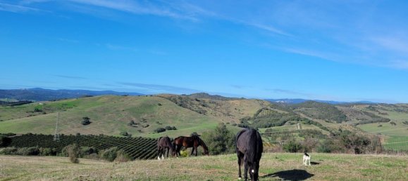 6 bedrooms House in San Martin del Tesorillo, Spain No. 143818 15