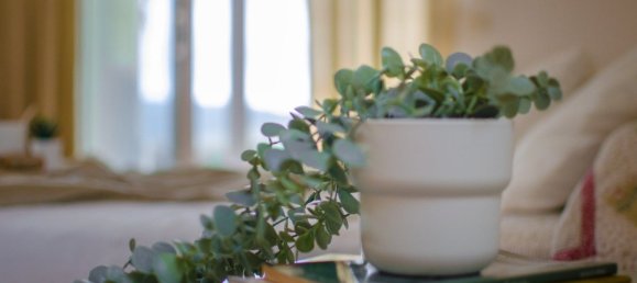 6 bedrooms House in San Martin del Tesorillo, Spain No. 143818 26