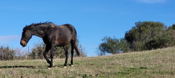 6 bedrooms House in San Martin del Tesorillo, Spain No. 143818 25