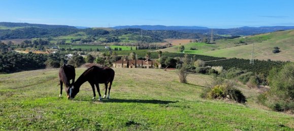6 bedrooms House in San Martin del Tesorillo, Spain No. 143818 16