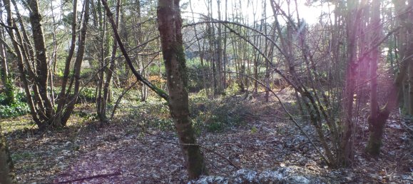 Terrain à Kaiserslautern, Germany No. 135214 6