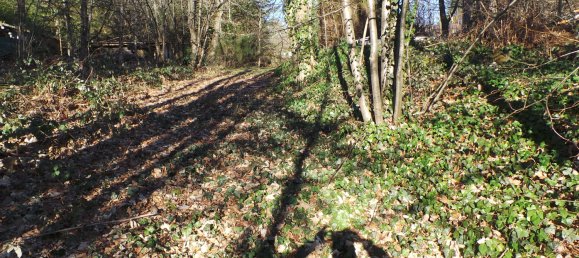 Terrain à Kaiserslautern, Germany No. 135214 4