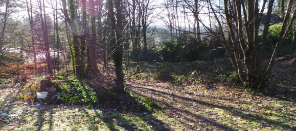 Terrain à Kaiserslautern, Germany No. 135214 3