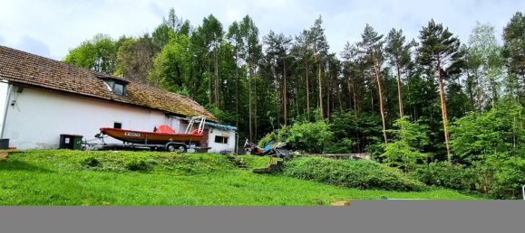 Terrain à Pressbaum, Austria No. 49196 8