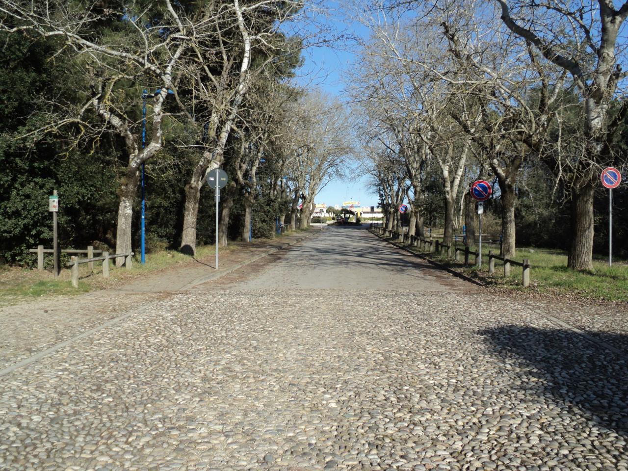 3 rooms Apartment in Comacchio, Italy No. 144578