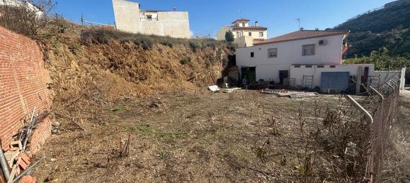 884m² Commercial property in Benamocarra, Spain No. 92016 3