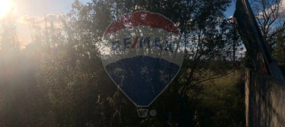 2 bedrooms House in Chamusca, Portugal No. 184938 4