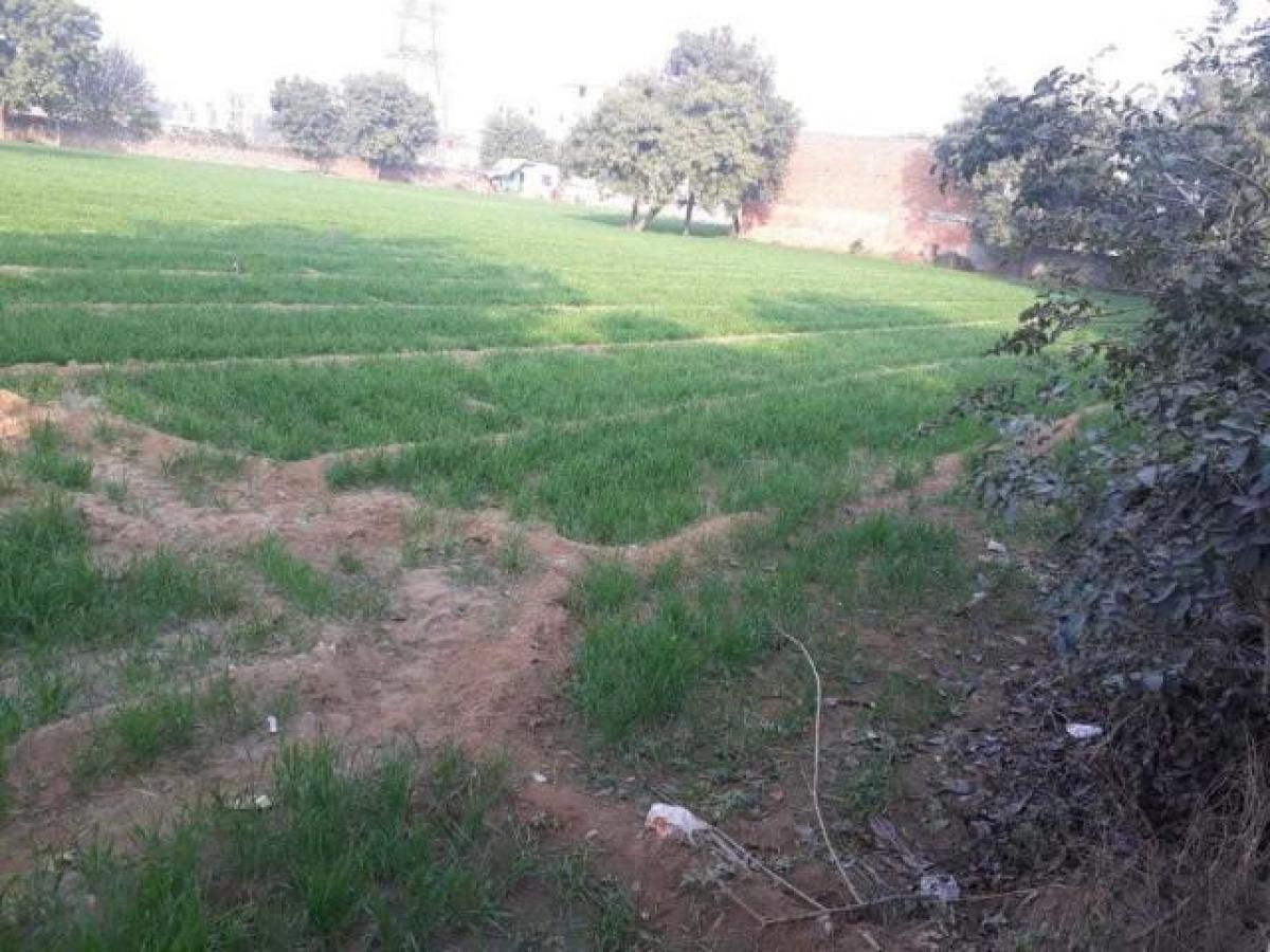  Land in Gurgaon, India No. 33786