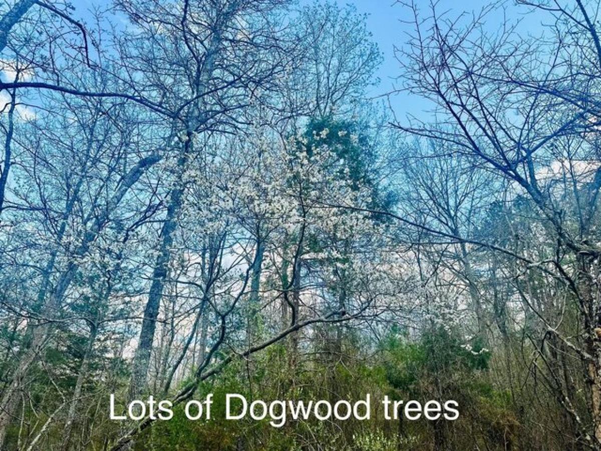 Studio in West Plains, USA No. 416328