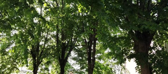 2 chambres Appartement à Nogent-sur-Seine, France No. 87006 3