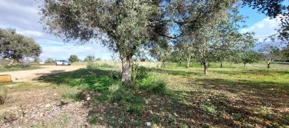 Terrain à Loule, Portugal No. 58788 14