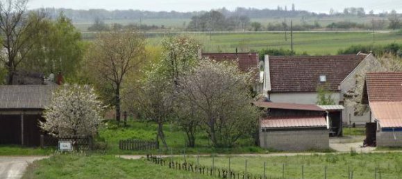 Grundstück in Gols, Austria 1065m², Nr. 163479 2