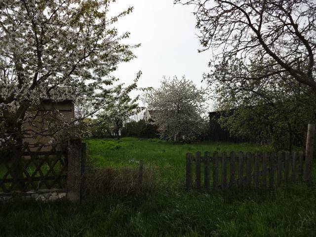 Grundstück in Gols, Austria 1065m², Nr. 163479