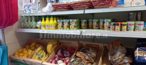 1-Zimmer Gewerbliche Immobilie in Treviglio, Italy, Nr. 133699 4