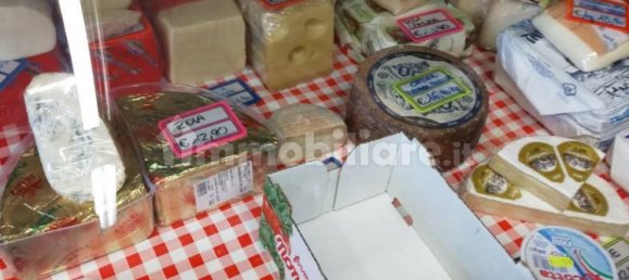 1-Zimmer Gewerbliche Immobilie in Treviglio, Italy, Nr. 133699 6