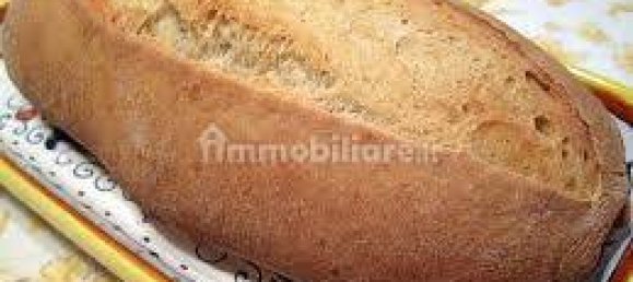 1-Zimmer Gewerbliche Immobilie in Treviglio, Italy, Nr. 133699 17