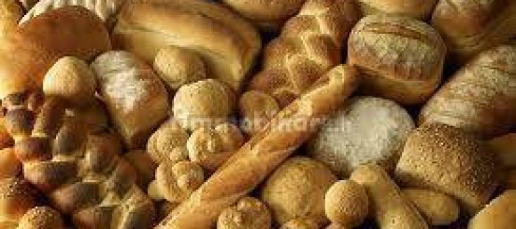 1-Zimmer Gewerbliche Immobilie in Treviglio, Italy, Nr. 133699 16