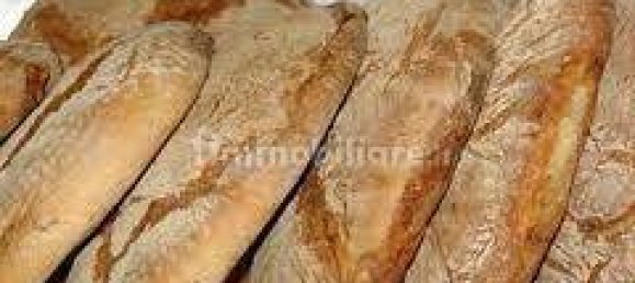 1-Zimmer Gewerbliche Immobilie in Treviglio, Italy, Nr. 133699 15