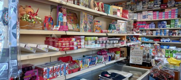 1-Zimmer Gewerbliche Immobilie in Treviglio, Italy, Nr. 133699 5