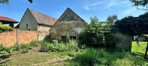 Casa de 2 habitaciónes en Drasenhofen, Austria No. 250733 4