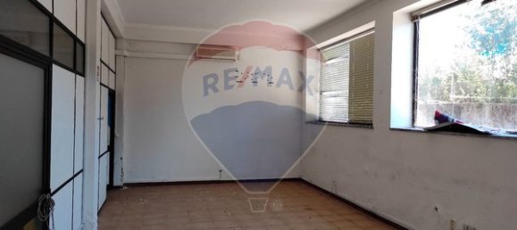 Коммерческая недвижимость 115м² в Нелаш, Португалия № 44637 4