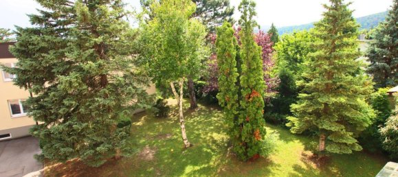 2-Zimmer Wohnung in Baden, Austria, Nr. 144346 6