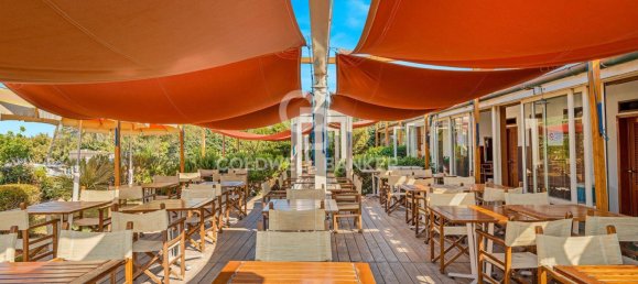 7 rooms Commercial property in Pietrasanta, Italy No. 232100 9