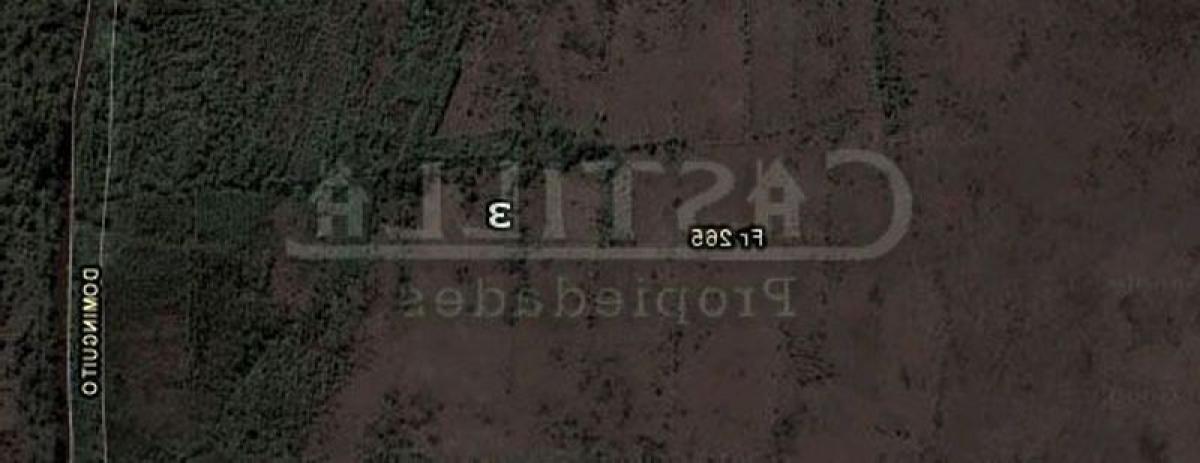 Grundstück in Tigre, Argentina, Nr. 31737