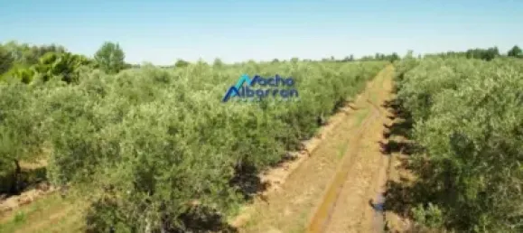 6 Schlafzimmer Haus in Valdebotoa, Spain, Nr. 156034 23