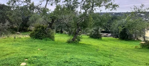 Land in Bordeira, Portugal No. 39907 4