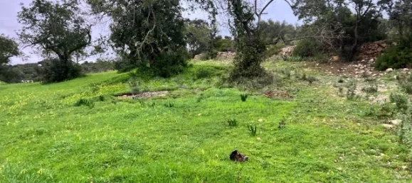 Land in Bordeira, Portugal No. 39907 3