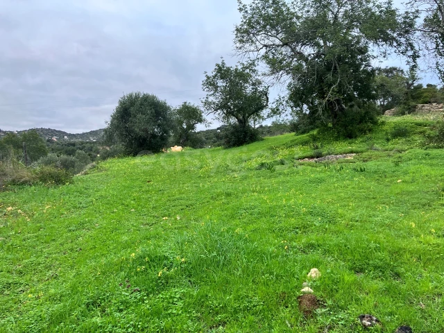  Land in Bordeira, Portugal No. 39907