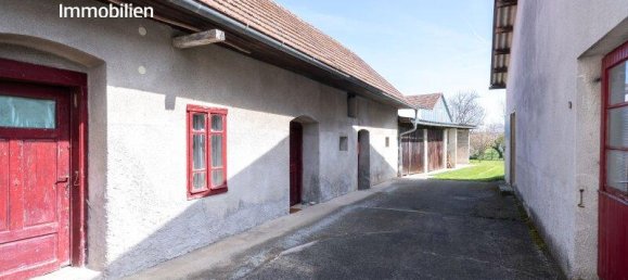 9-Zimmer Wohnung in Nikitsch, Austria, Nr. 47124 7