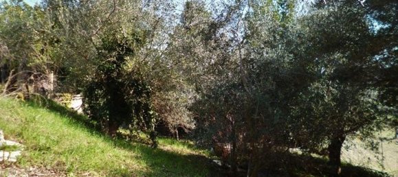 5-Zimmer Haus in Cingoli, Italy, Nr. 101966 15