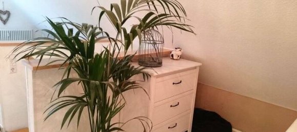 Дуплекс с 5 комнатами в Брайсгау-Верхний Шварцвальд, Германия № 57529 15