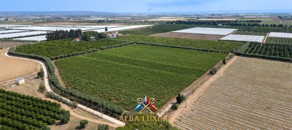 7 bedrooms House in Ginosa, Italy No. 332783 16