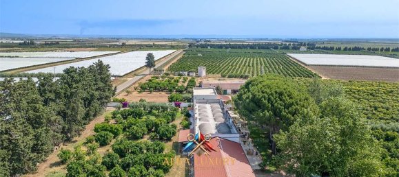 7 bedrooms House in Ginosa, Italy No. 332783 4