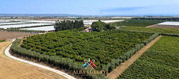 7 bedrooms House in Ginosa, Italy No. 332783 17