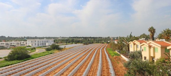 1 chambre Maison à Pernera, Cyprus No. 23924 8