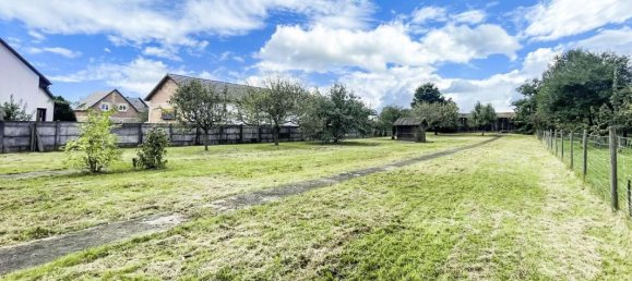 5 غرف نوم منزل في Hilsenheim, France رقم 244830 20