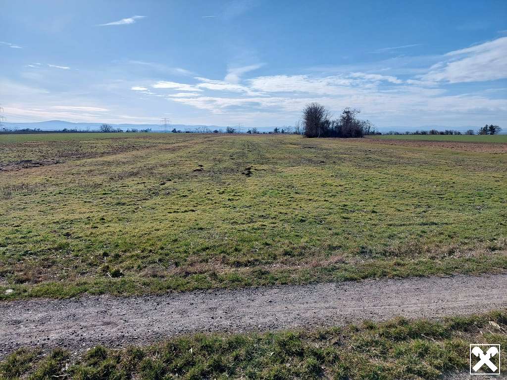  Land in Hausleiten, Austria No. 39610