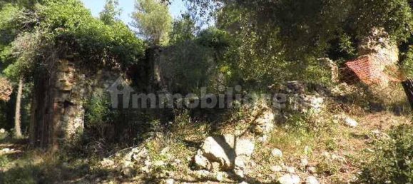 5-Zimmer Haus in Rosignano Marittimo, Italy, Nr. 147697 5