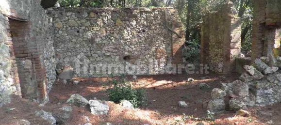 5-Zimmer Haus in Rosignano Marittimo, Italy, Nr. 147697 12