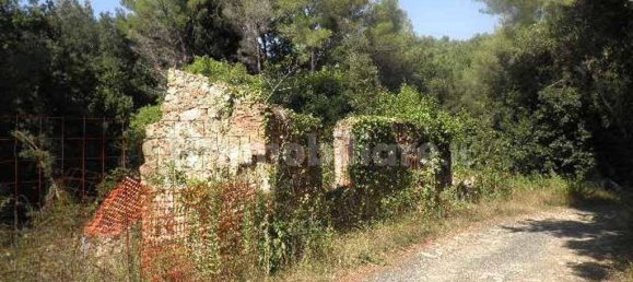 5-Zimmer Haus in Rosignano Marittimo, Italy, Nr. 147697 3