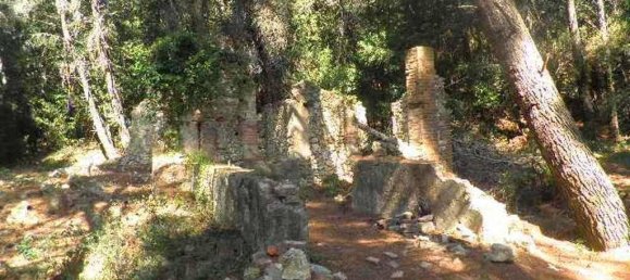 5-Zimmer Haus in Rosignano Marittimo, Italy, Nr. 147697 10