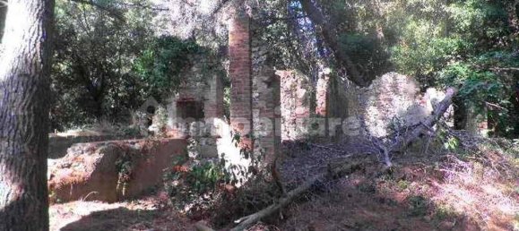 5-Zimmer Haus in Rosignano Marittimo, Italy, Nr. 147697 8