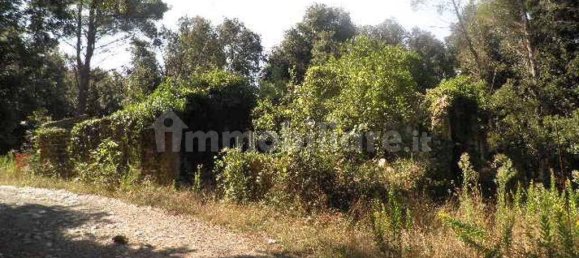 5-Zimmer Haus in Rosignano Marittimo, Italy, Nr. 147697 7