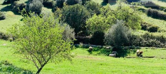 15 rooms House in Modica, Italy No. 235893 44