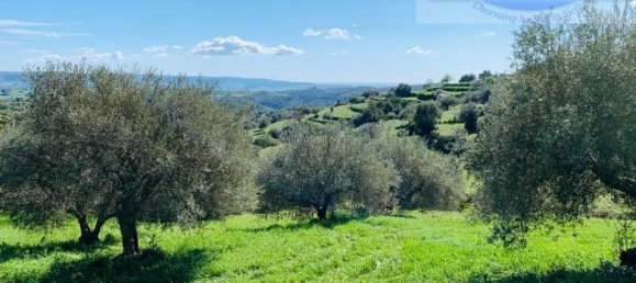 15 rooms House in Modica, Italy No. 235893 28